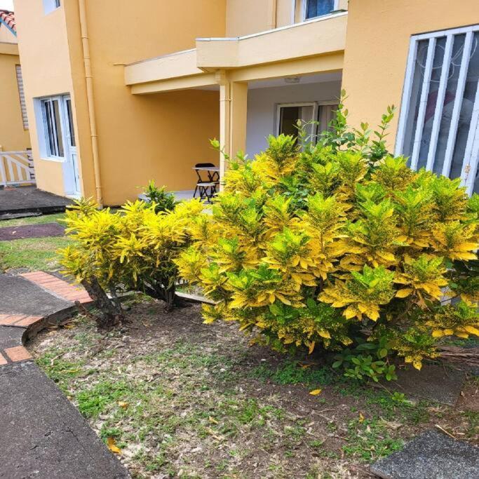 Appartement A Saint-Anne - Residence Beauregard Sainte-Anne Exteriör bild